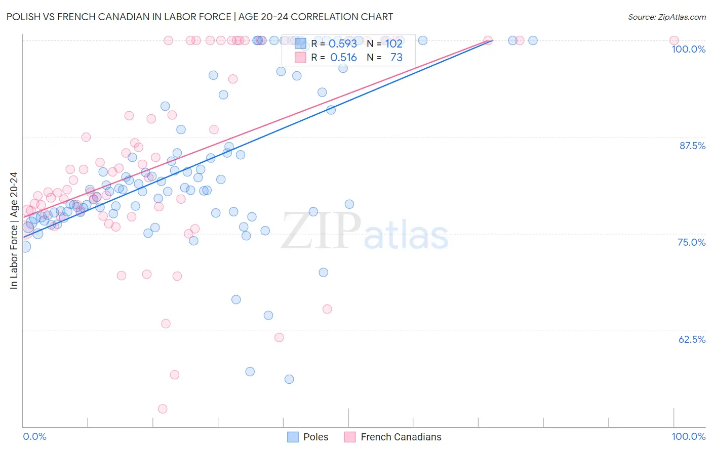 Polish vs French Canadian In Labor Force | Age 20-24