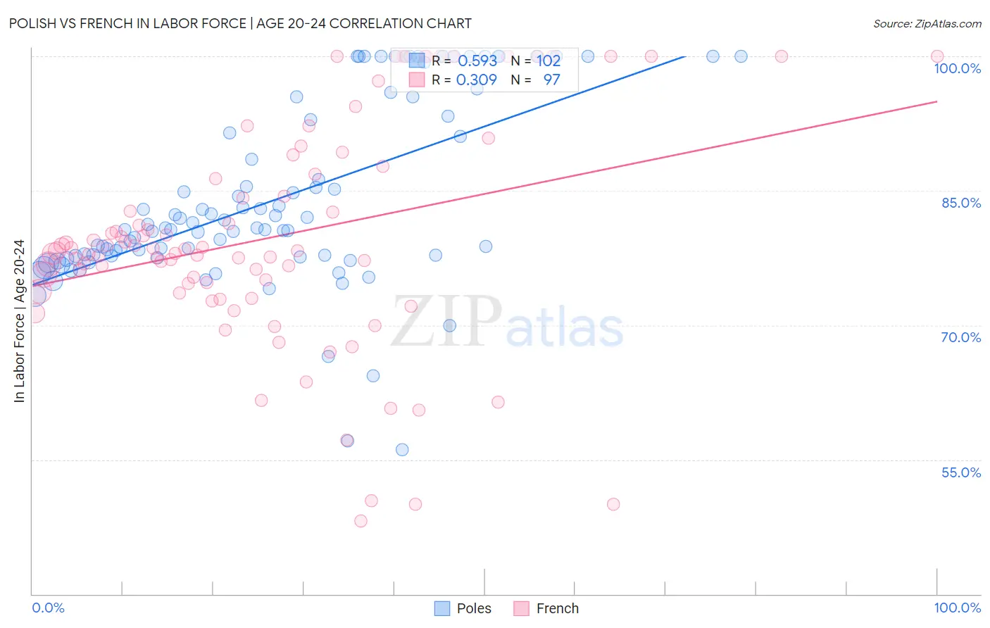 Polish vs French In Labor Force | Age 20-24