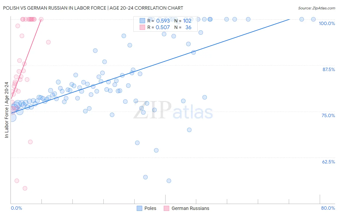 Polish vs German Russian In Labor Force | Age 20-24