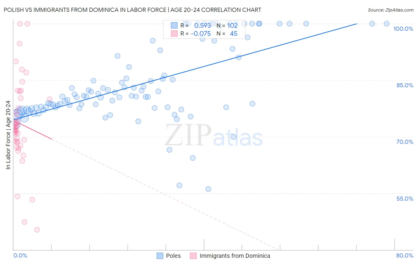 Polish vs Immigrants from Dominica In Labor Force | Age 20-24