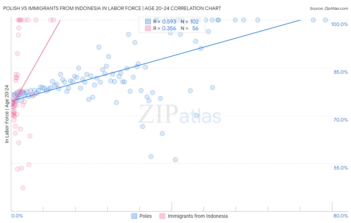 Polish vs Immigrants from Indonesia In Labor Force | Age 20-24