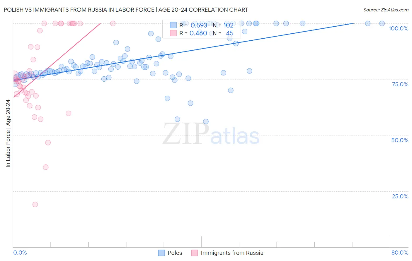 Polish vs Immigrants from Russia In Labor Force | Age 20-24