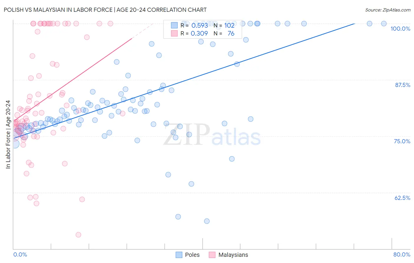 Polish vs Malaysian In Labor Force | Age 20-24