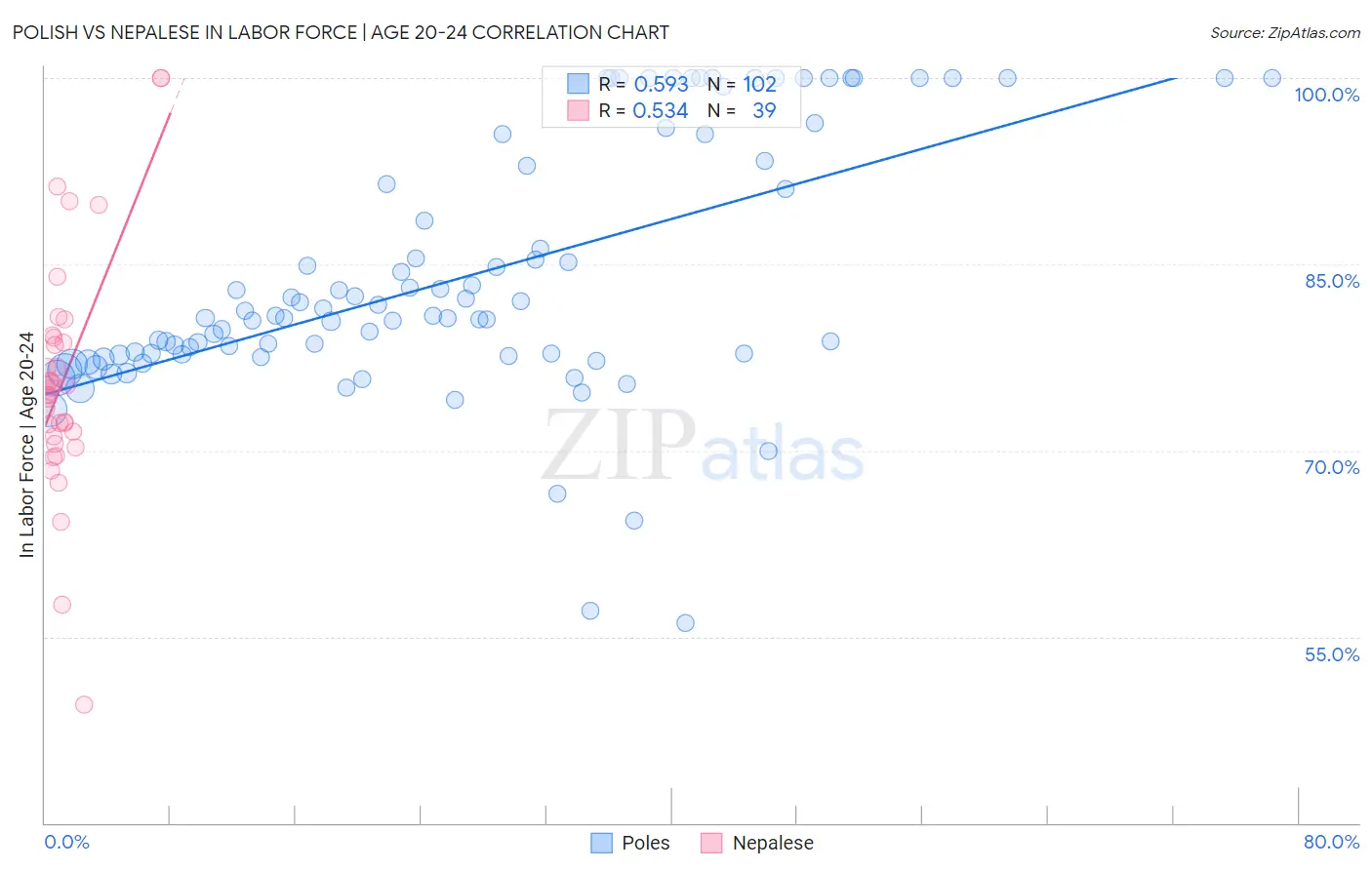Polish vs Nepalese In Labor Force | Age 20-24