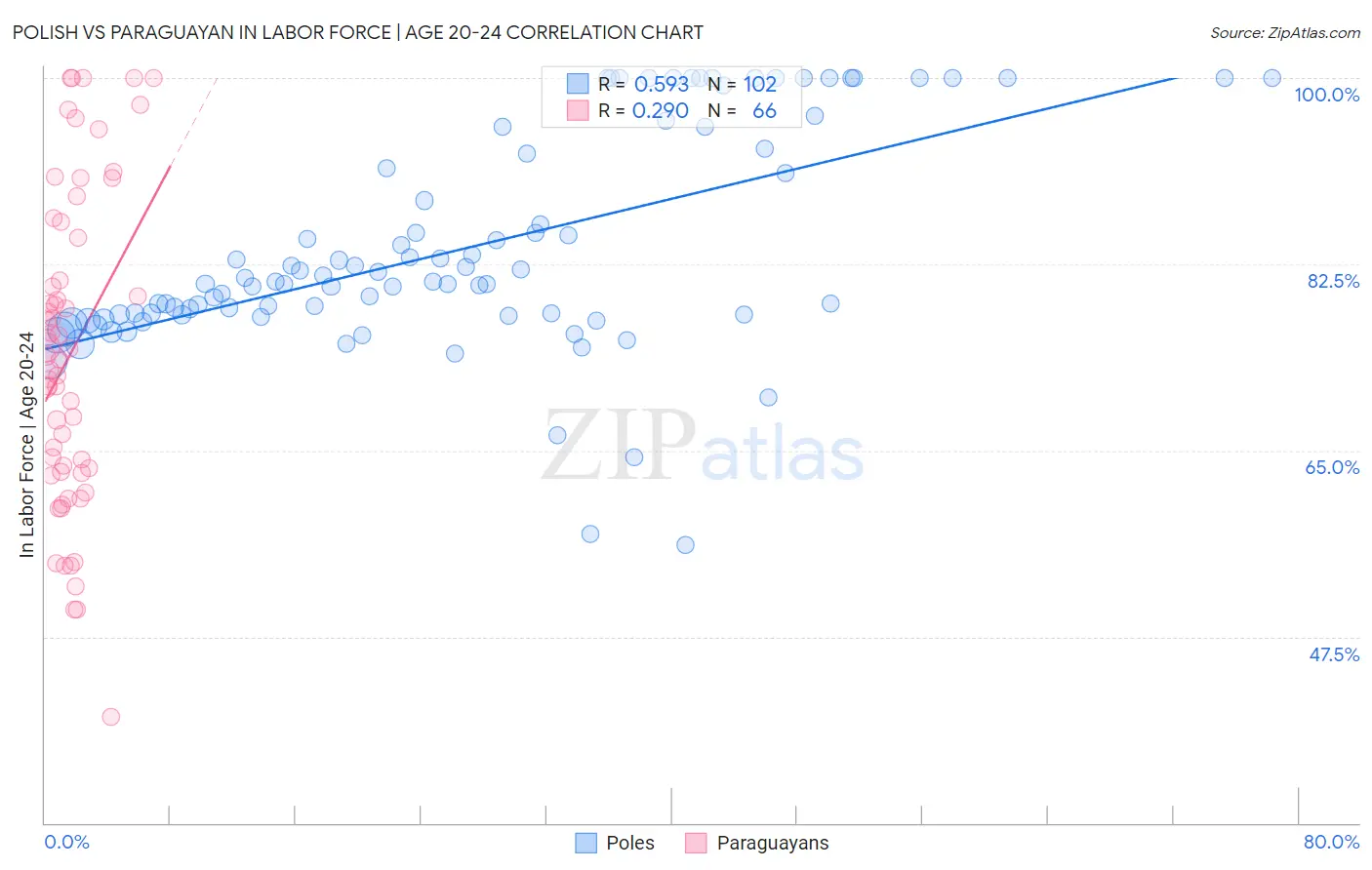 Polish vs Paraguayan In Labor Force | Age 20-24