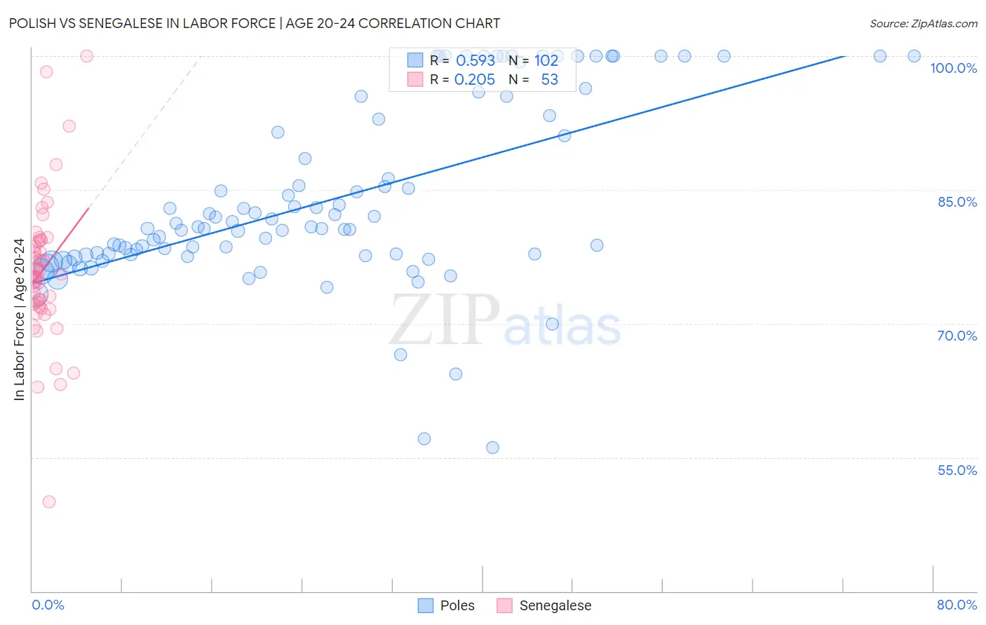 Polish vs Senegalese In Labor Force | Age 20-24