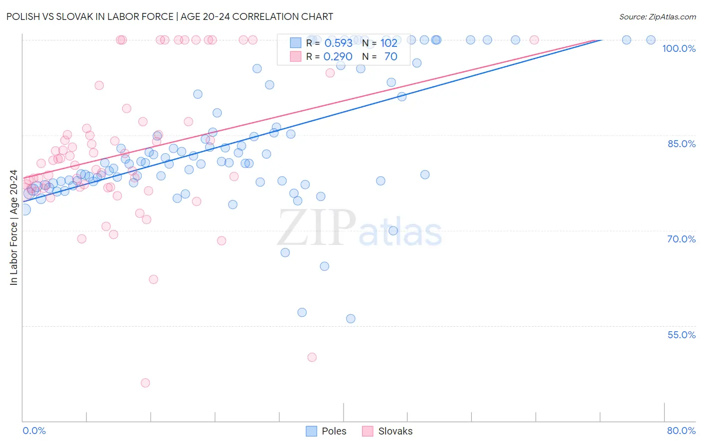 Polish vs Slovak In Labor Force | Age 20-24