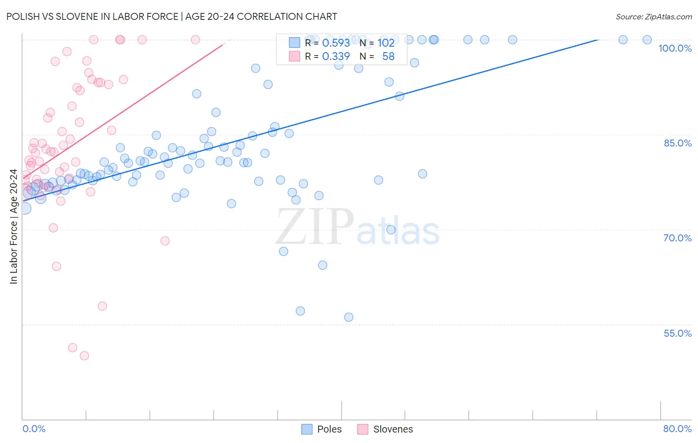 Polish vs Slovene In Labor Force | Age 20-24