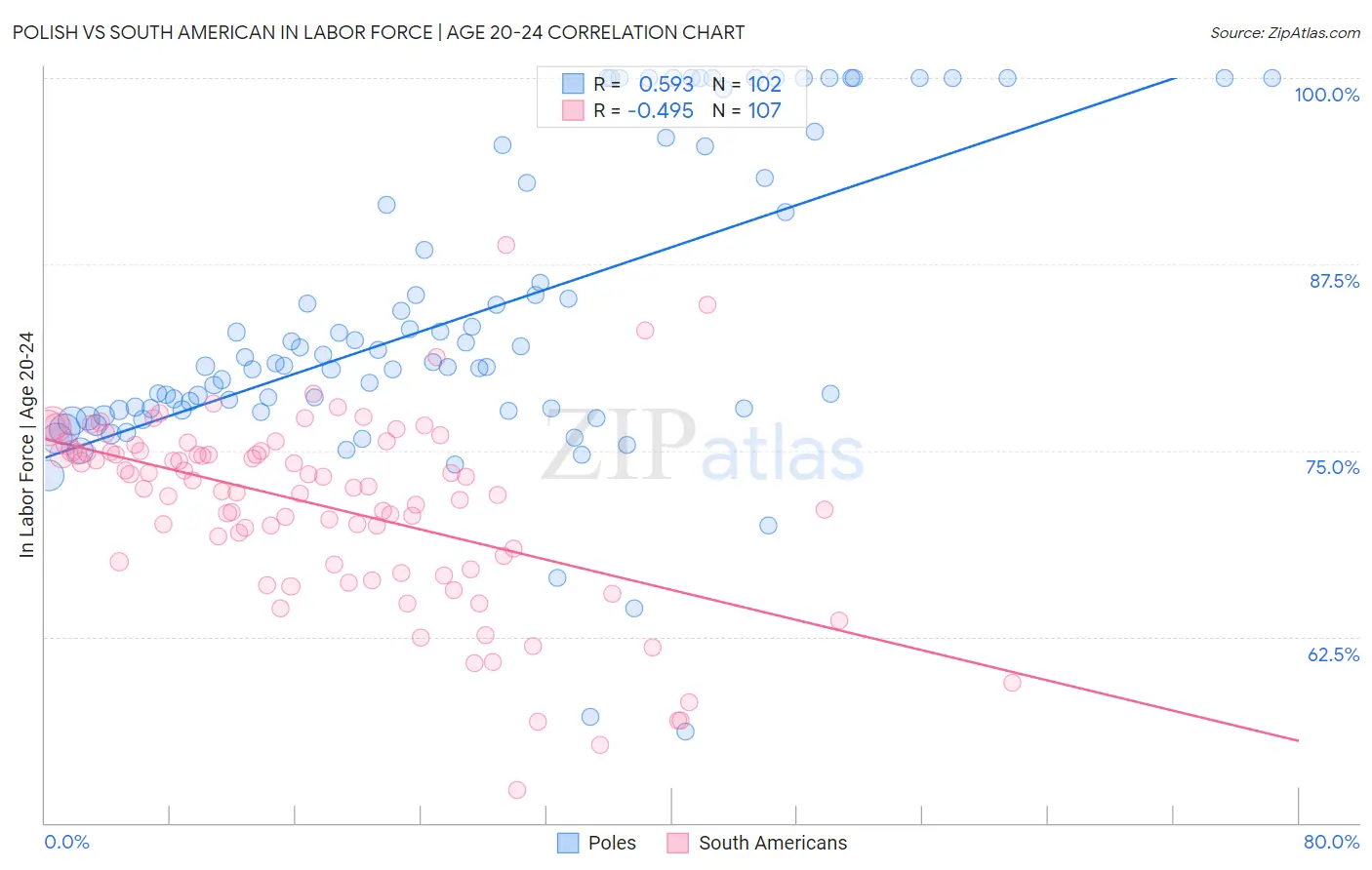 Polish vs South American In Labor Force | Age 20-24