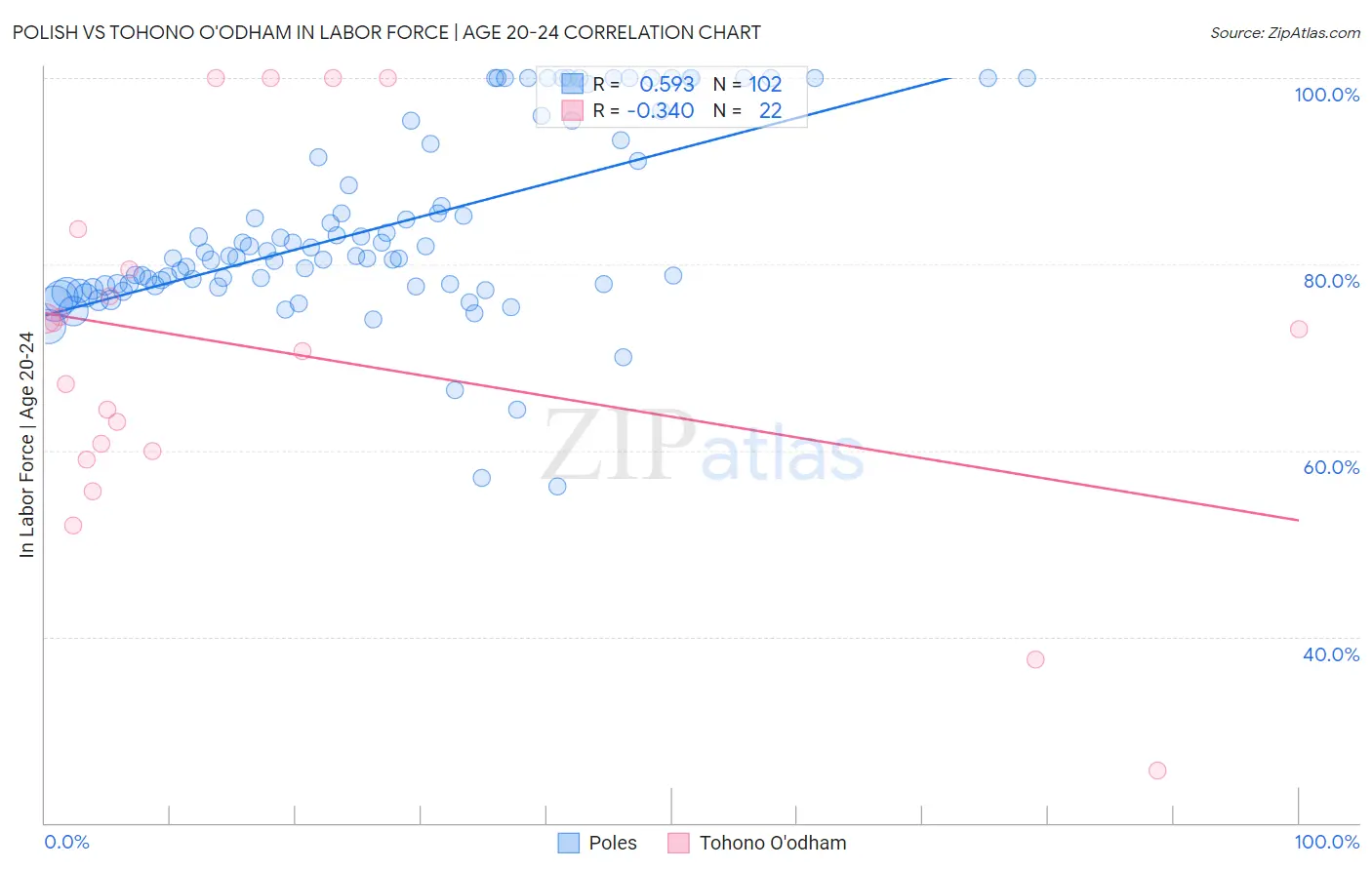 Polish vs Tohono O'odham In Labor Force | Age 20-24