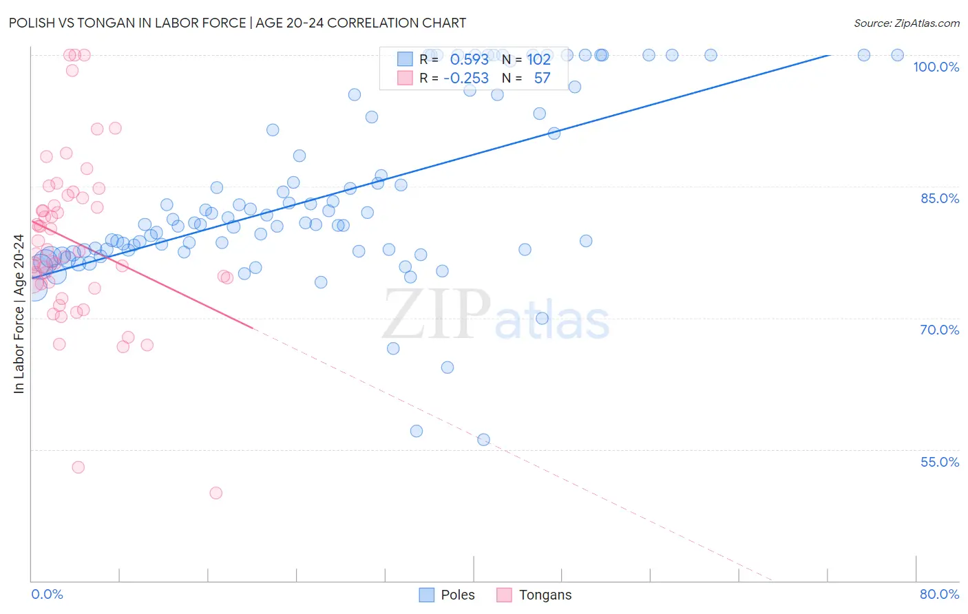 Polish vs Tongan In Labor Force | Age 20-24