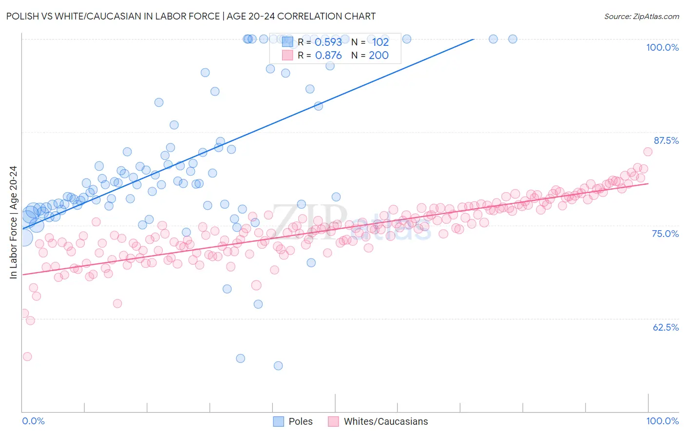 Polish vs White/Caucasian In Labor Force | Age 20-24