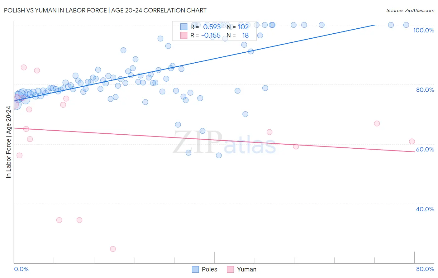 Polish vs Yuman In Labor Force | Age 20-24