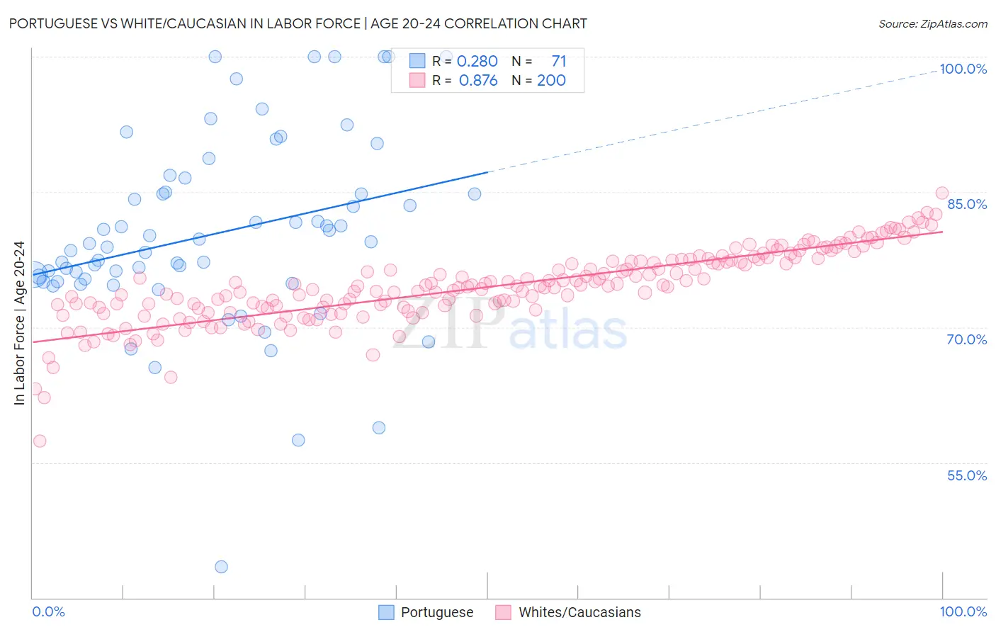 Portuguese vs White/Caucasian In Labor Force | Age 20-24