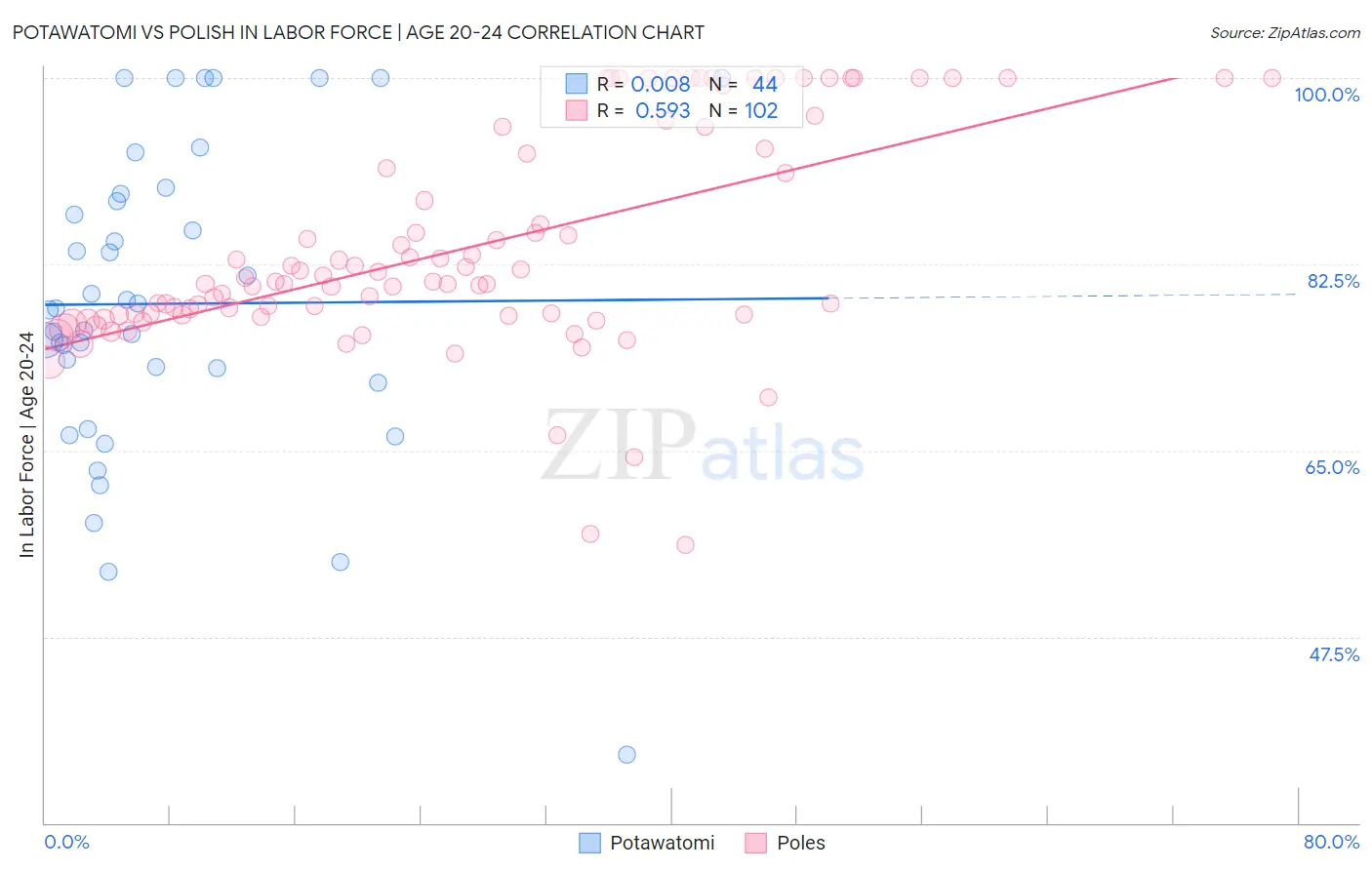 Potawatomi vs Polish In Labor Force | Age 20-24