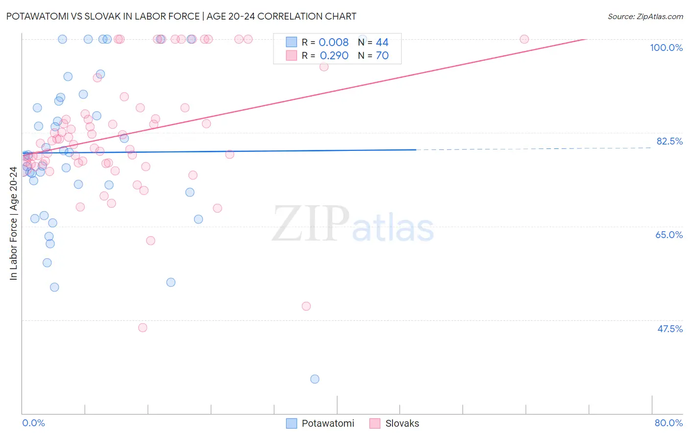 Potawatomi vs Slovak In Labor Force | Age 20-24