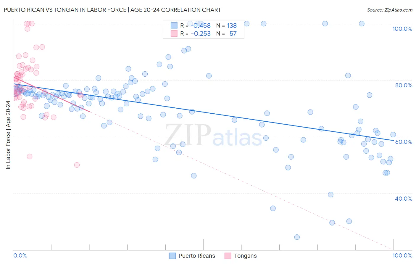 Puerto Rican vs Tongan In Labor Force | Age 20-24