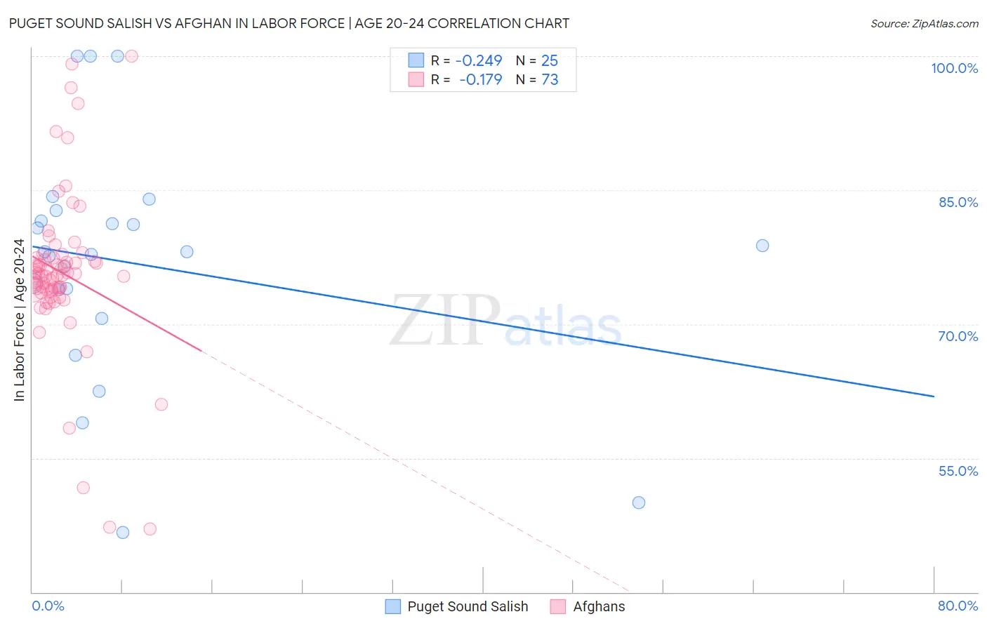 Puget Sound Salish vs Afghan In Labor Force | Age 20-24