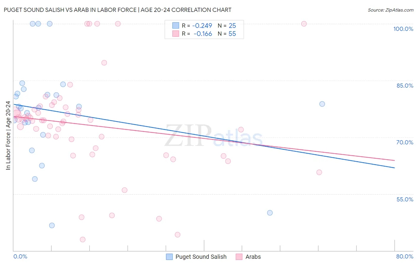 Puget Sound Salish vs Arab In Labor Force | Age 20-24