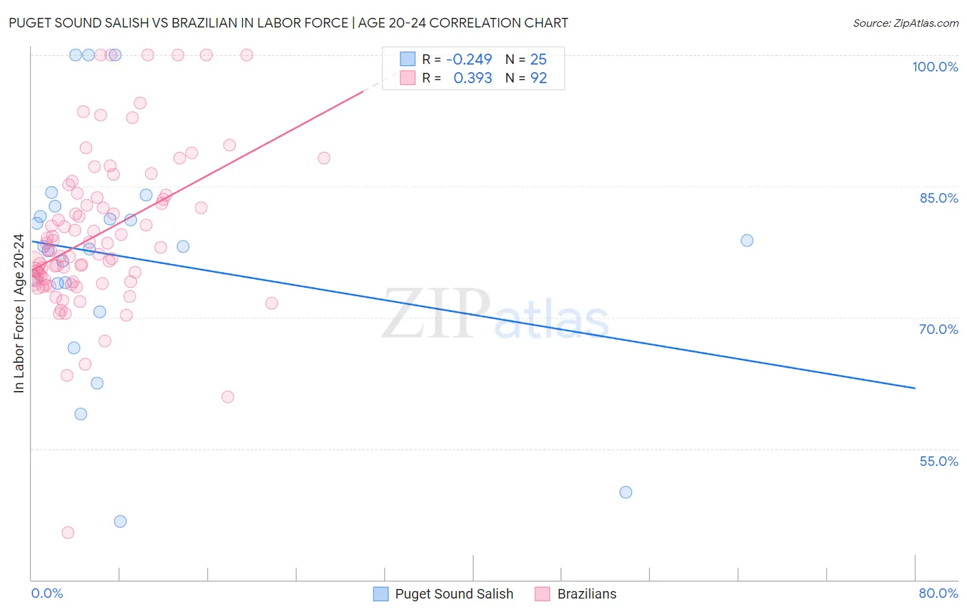 Puget Sound Salish vs Brazilian In Labor Force | Age 20-24