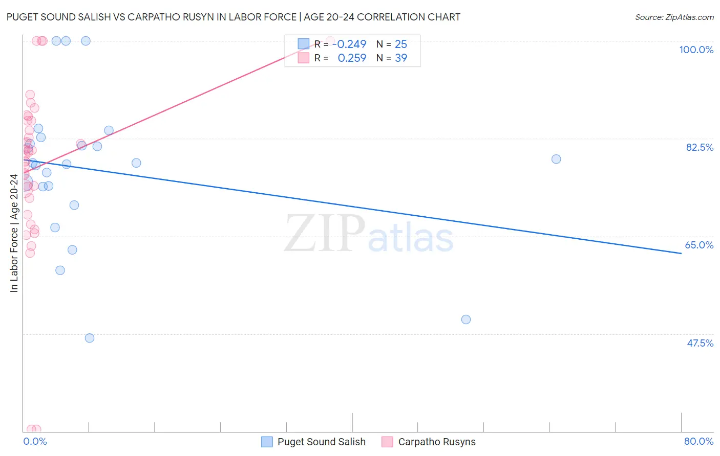 Puget Sound Salish vs Carpatho Rusyn In Labor Force | Age 20-24