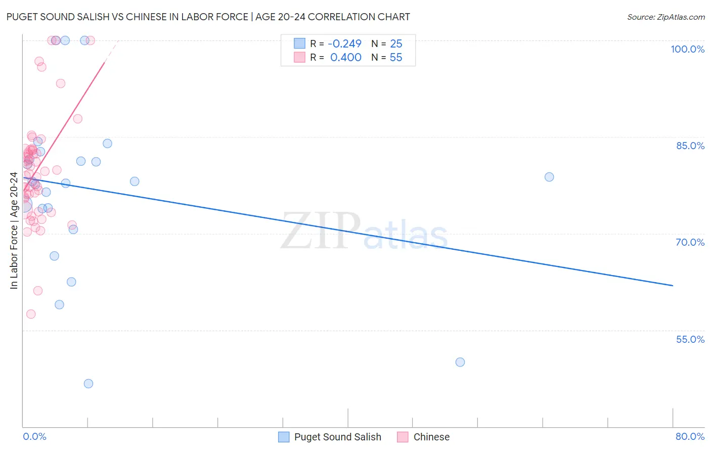 Puget Sound Salish vs Chinese In Labor Force | Age 20-24