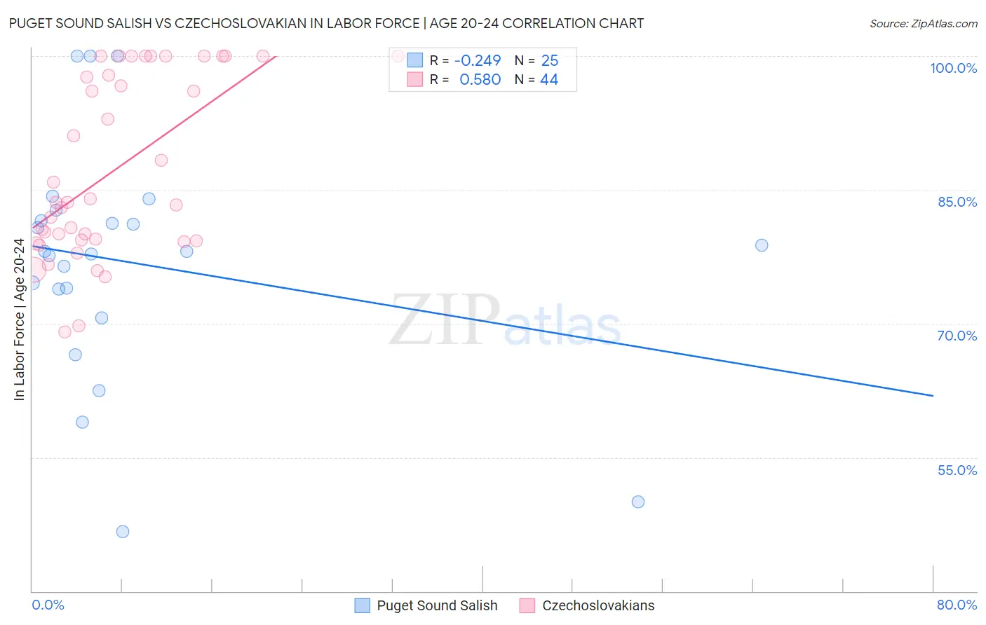 Puget Sound Salish vs Czechoslovakian In Labor Force | Age 20-24