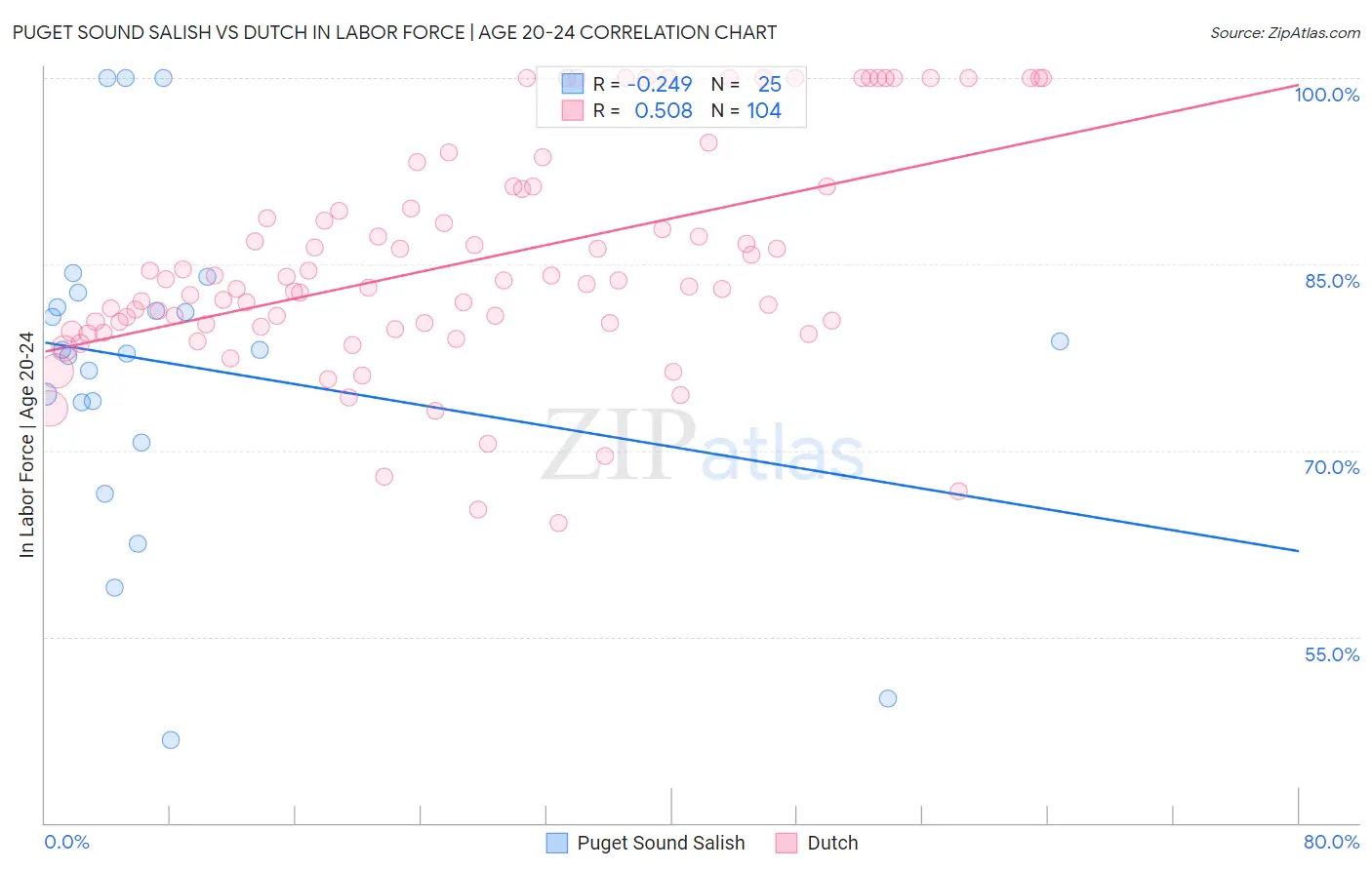 Puget Sound Salish vs Dutch In Labor Force | Age 20-24