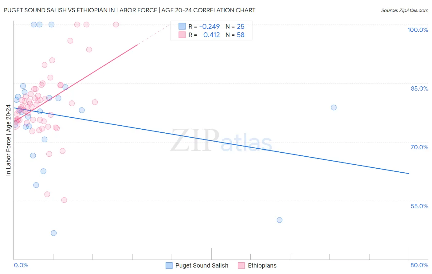 Puget Sound Salish vs Ethiopian In Labor Force | Age 20-24