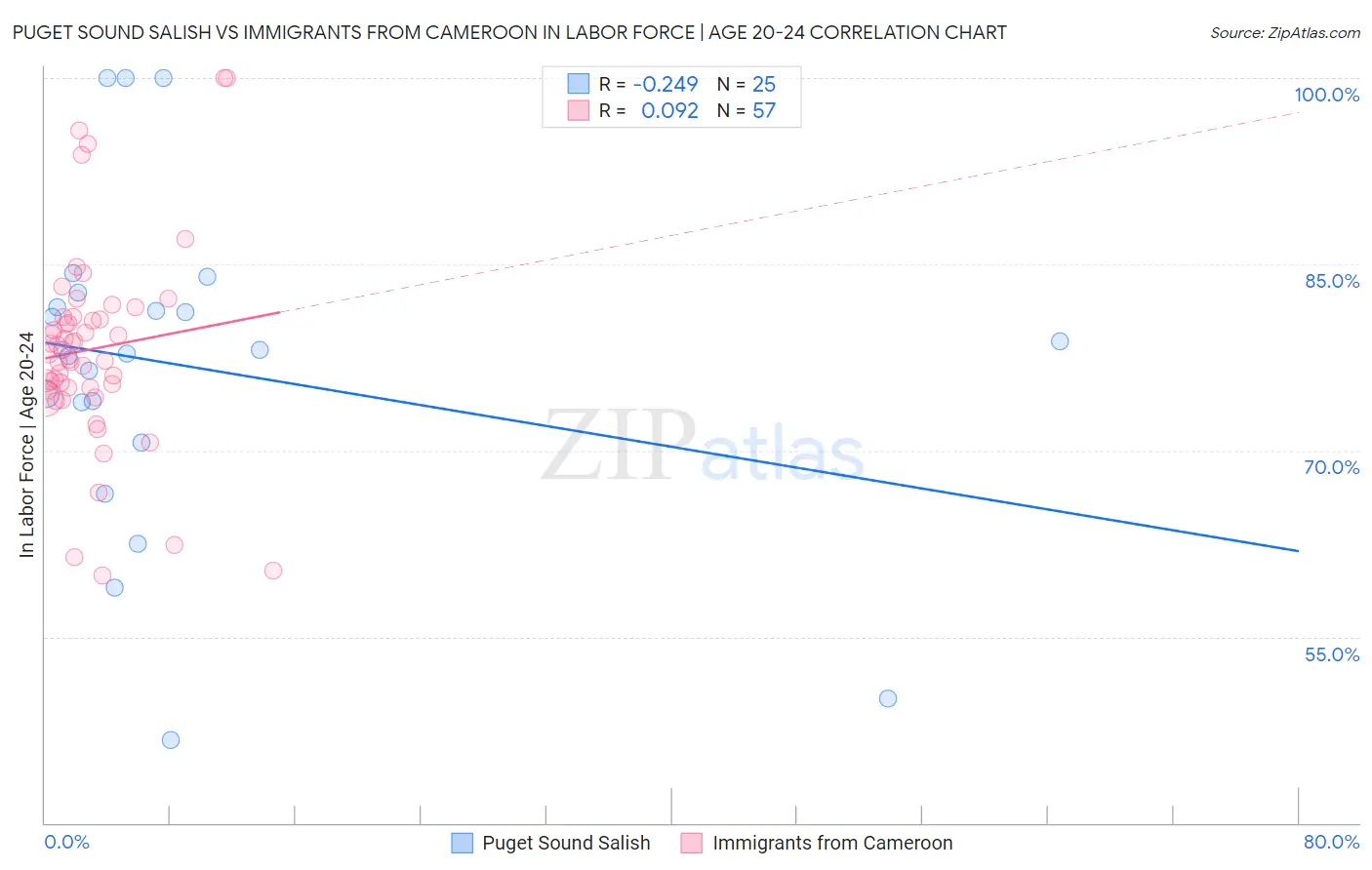 Puget Sound Salish vs Immigrants from Cameroon In Labor Force | Age 20-24