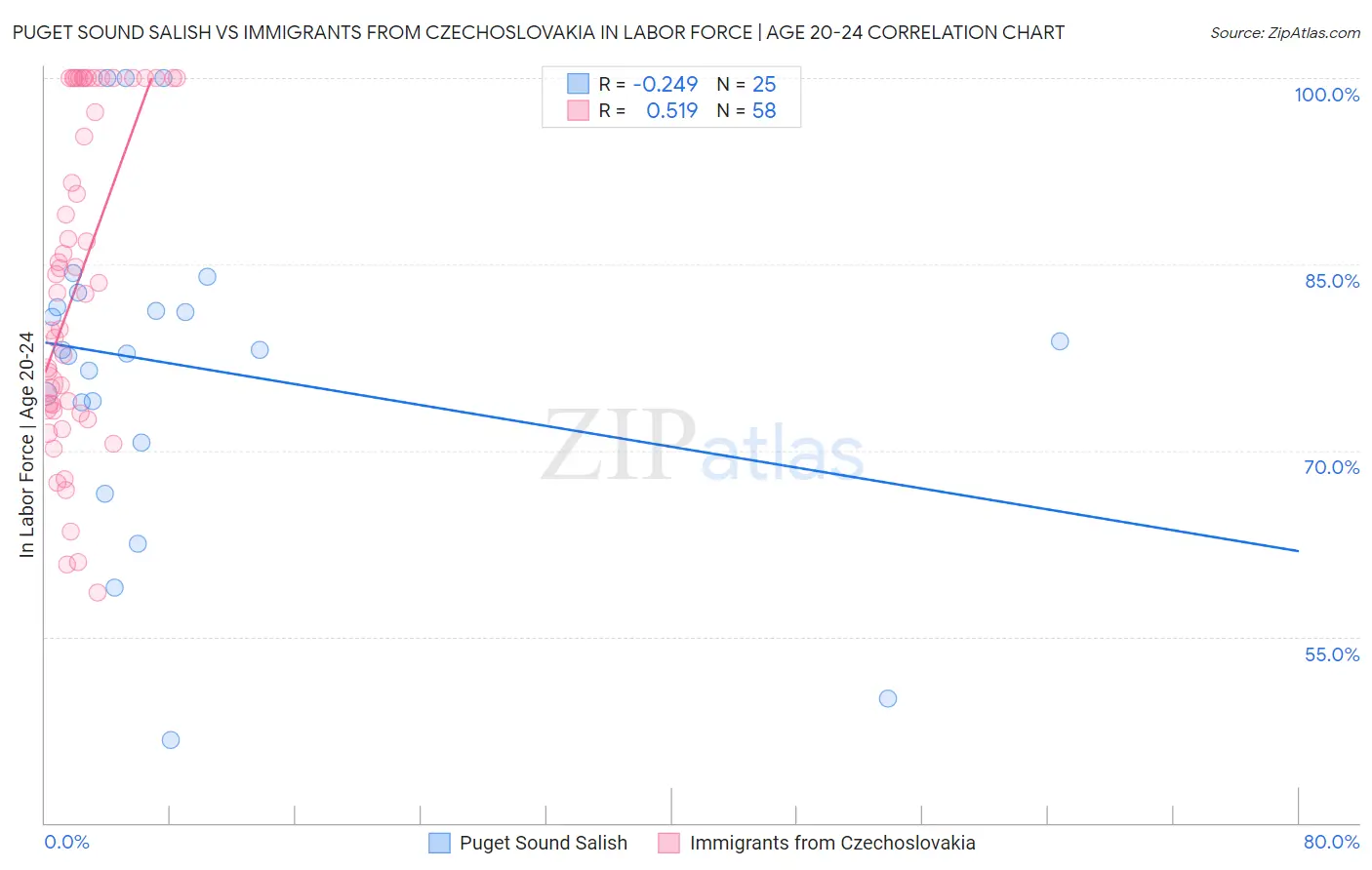 Puget Sound Salish vs Immigrants from Czechoslovakia In Labor Force | Age 20-24