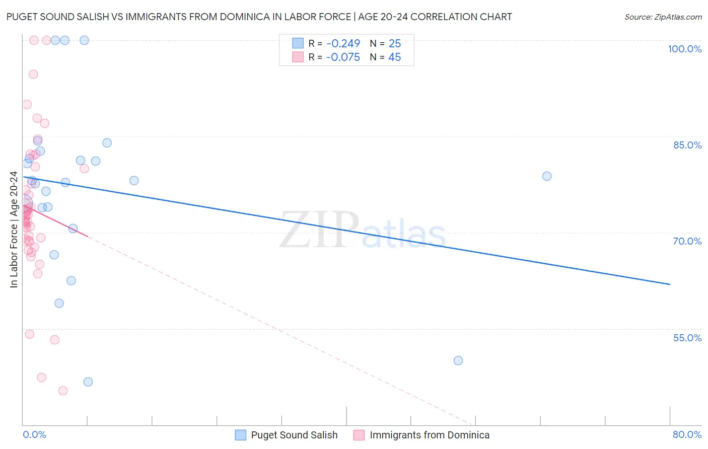 Puget Sound Salish vs Immigrants from Dominica In Labor Force | Age 20-24