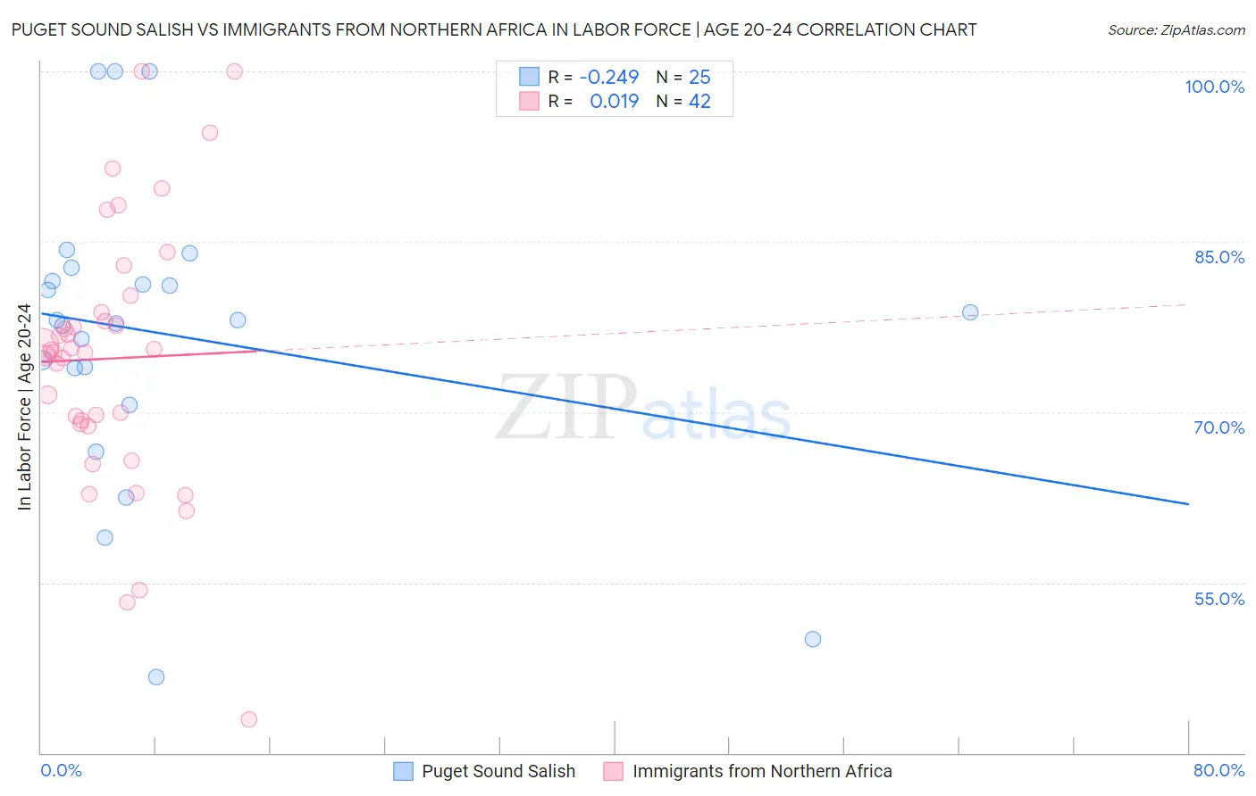 Puget Sound Salish vs Immigrants from Northern Africa In Labor Force | Age 20-24