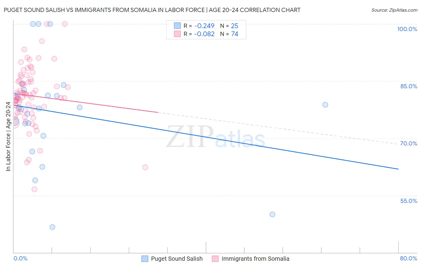 Puget Sound Salish vs Immigrants from Somalia In Labor Force | Age 20-24