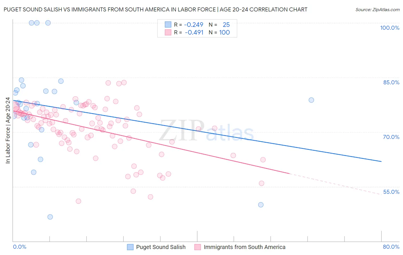 Puget Sound Salish vs Immigrants from South America In Labor Force | Age 20-24