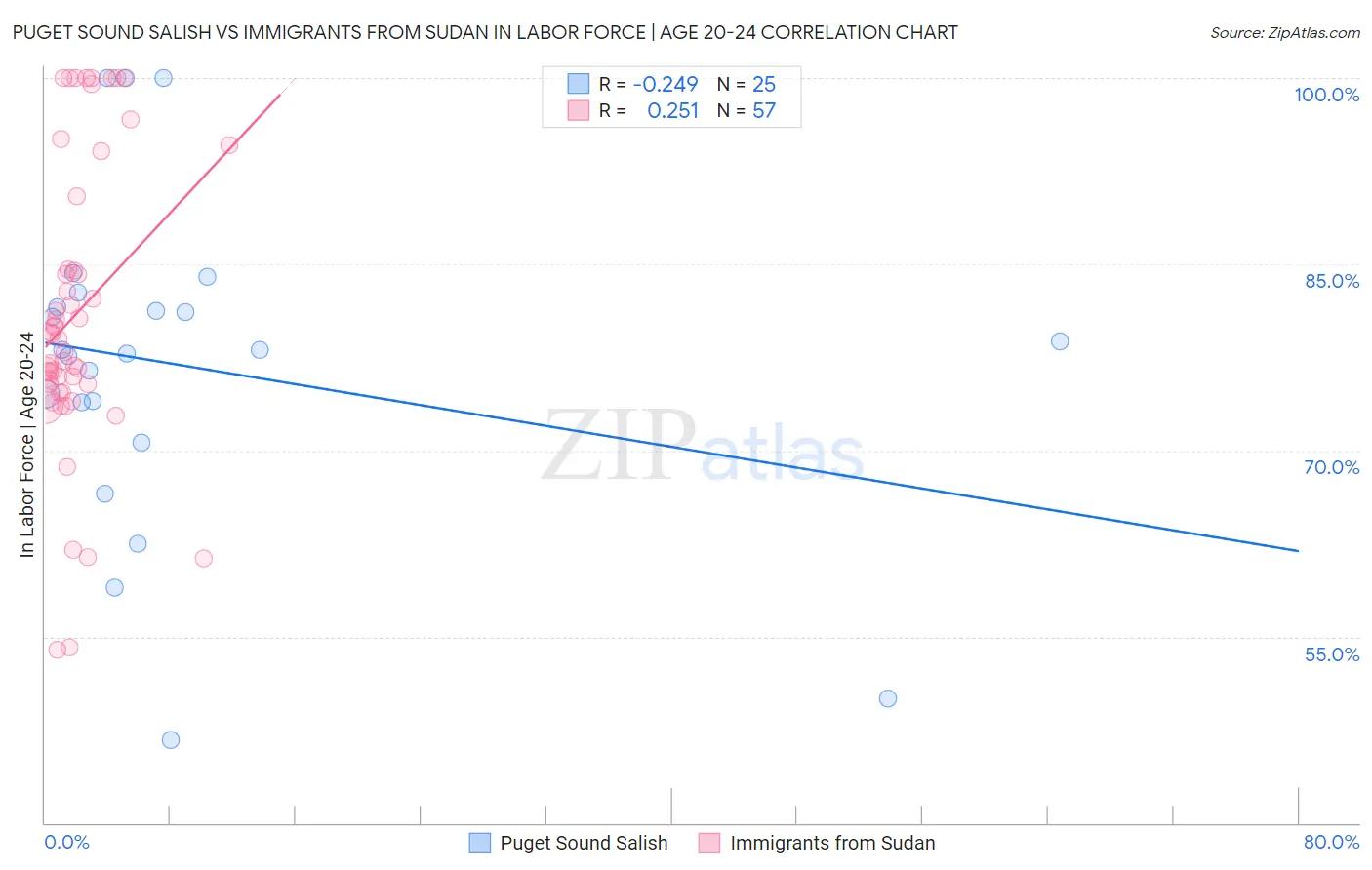 Puget Sound Salish vs Immigrants from Sudan In Labor Force | Age 20-24