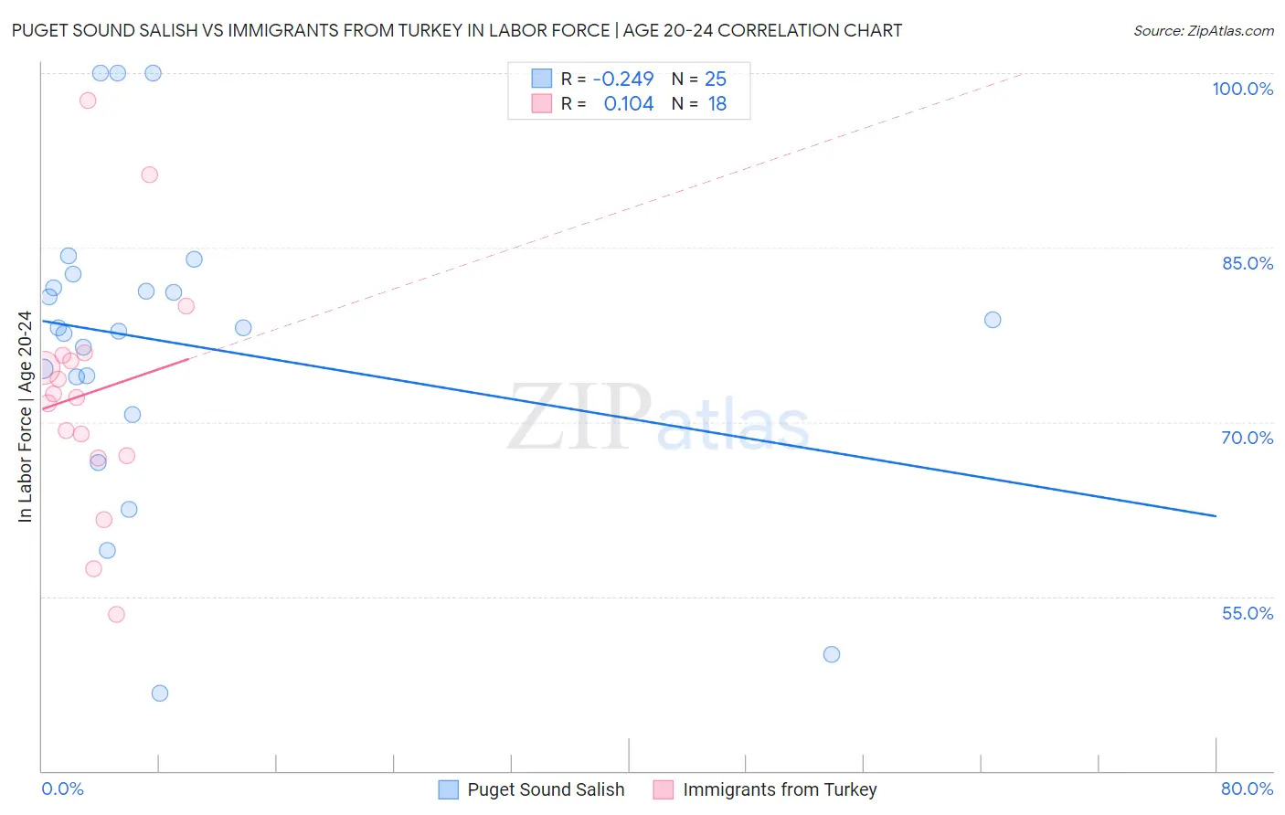 Puget Sound Salish vs Immigrants from Turkey In Labor Force | Age 20-24