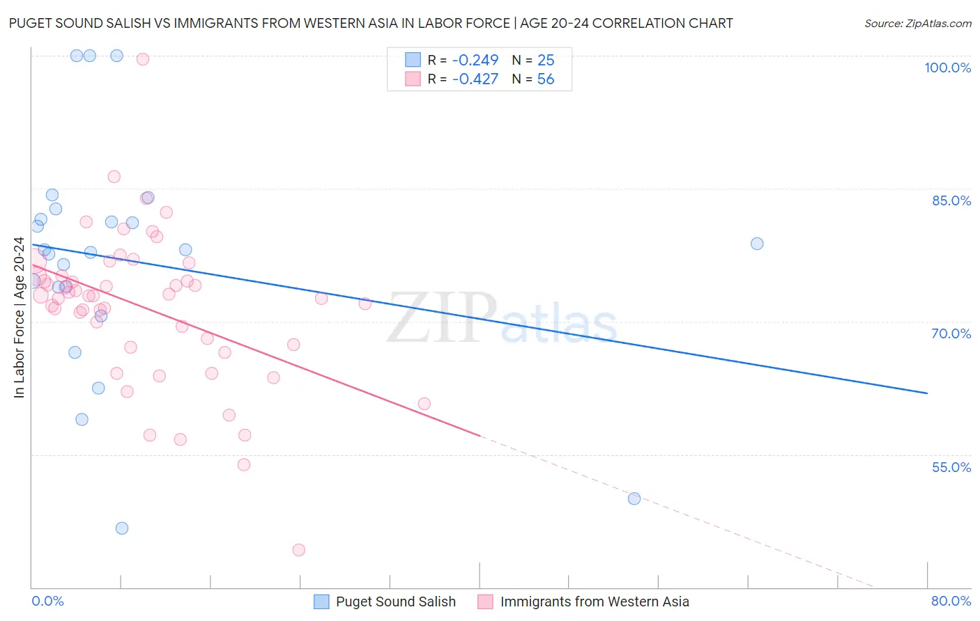 Puget Sound Salish vs Immigrants from Western Asia In Labor Force | Age 20-24