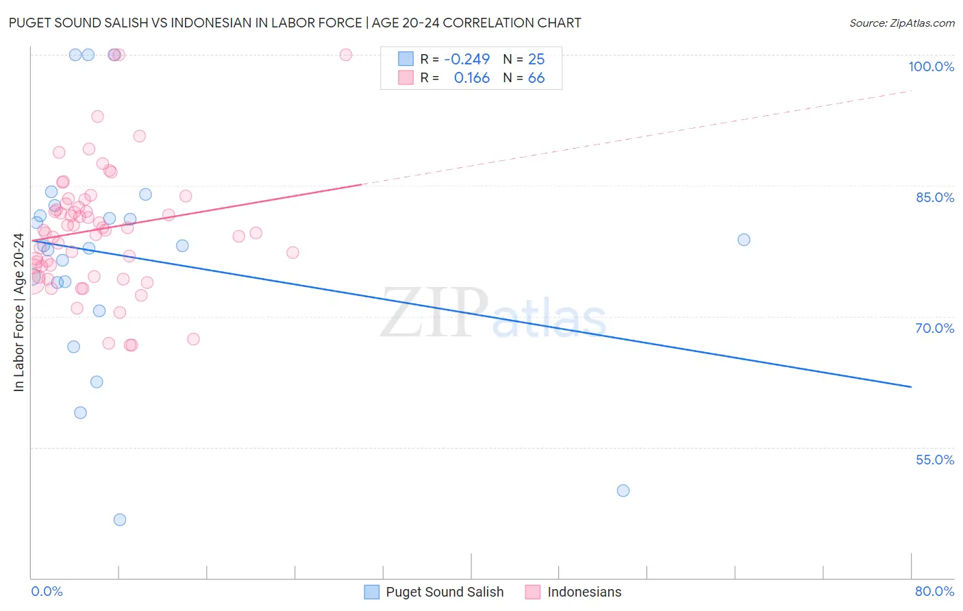 Puget Sound Salish vs Indonesian In Labor Force | Age 20-24