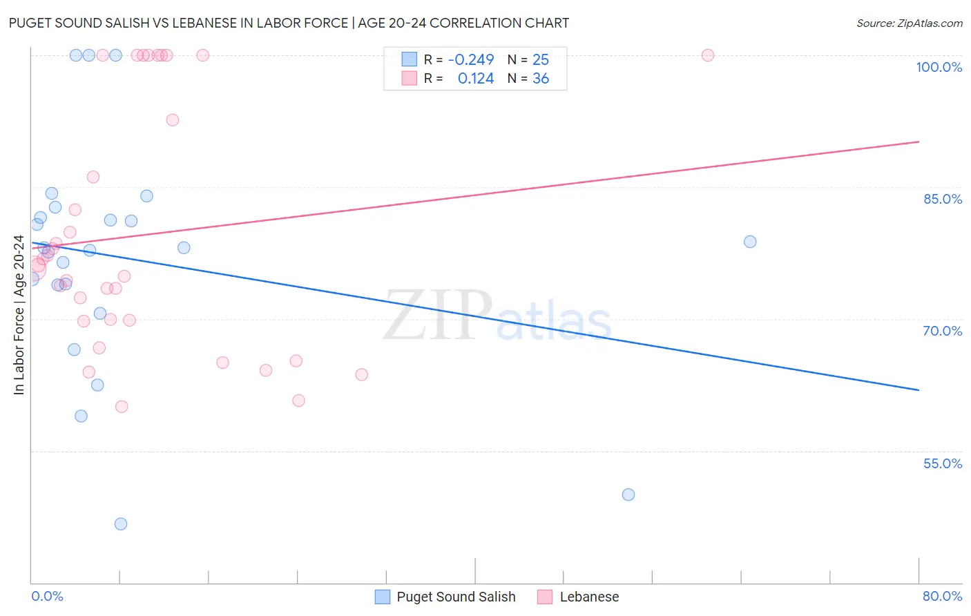 Puget Sound Salish vs Lebanese In Labor Force | Age 20-24