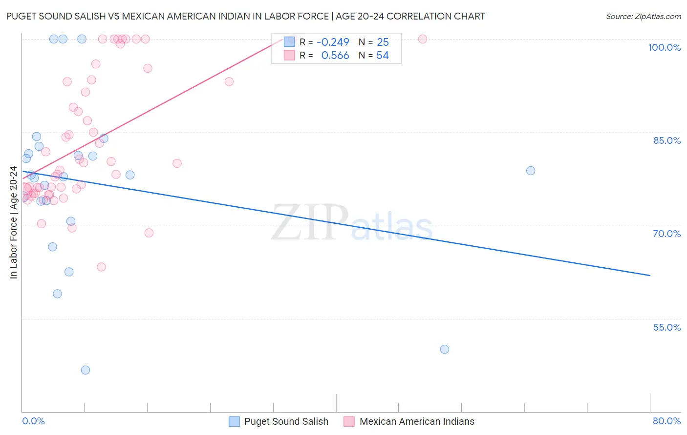 Puget Sound Salish vs Mexican American Indian In Labor Force | Age 20-24