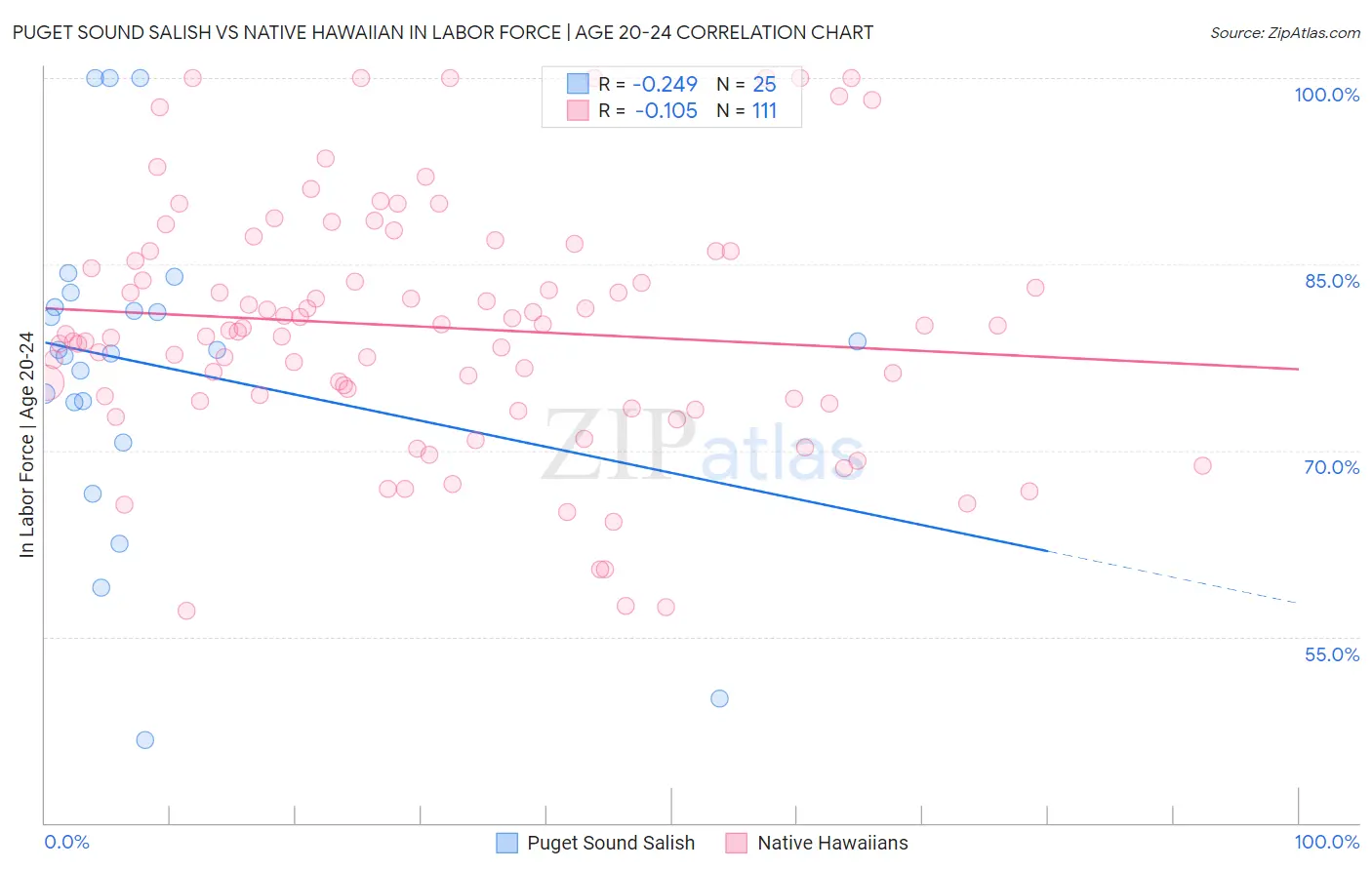 Puget Sound Salish vs Native Hawaiian In Labor Force | Age 20-24