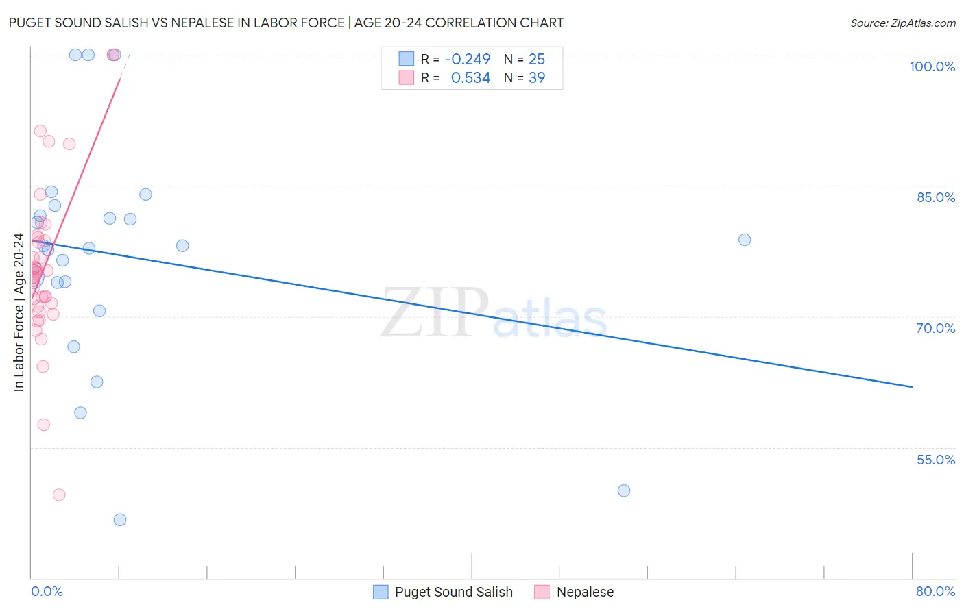 Puget Sound Salish vs Nepalese In Labor Force | Age 20-24