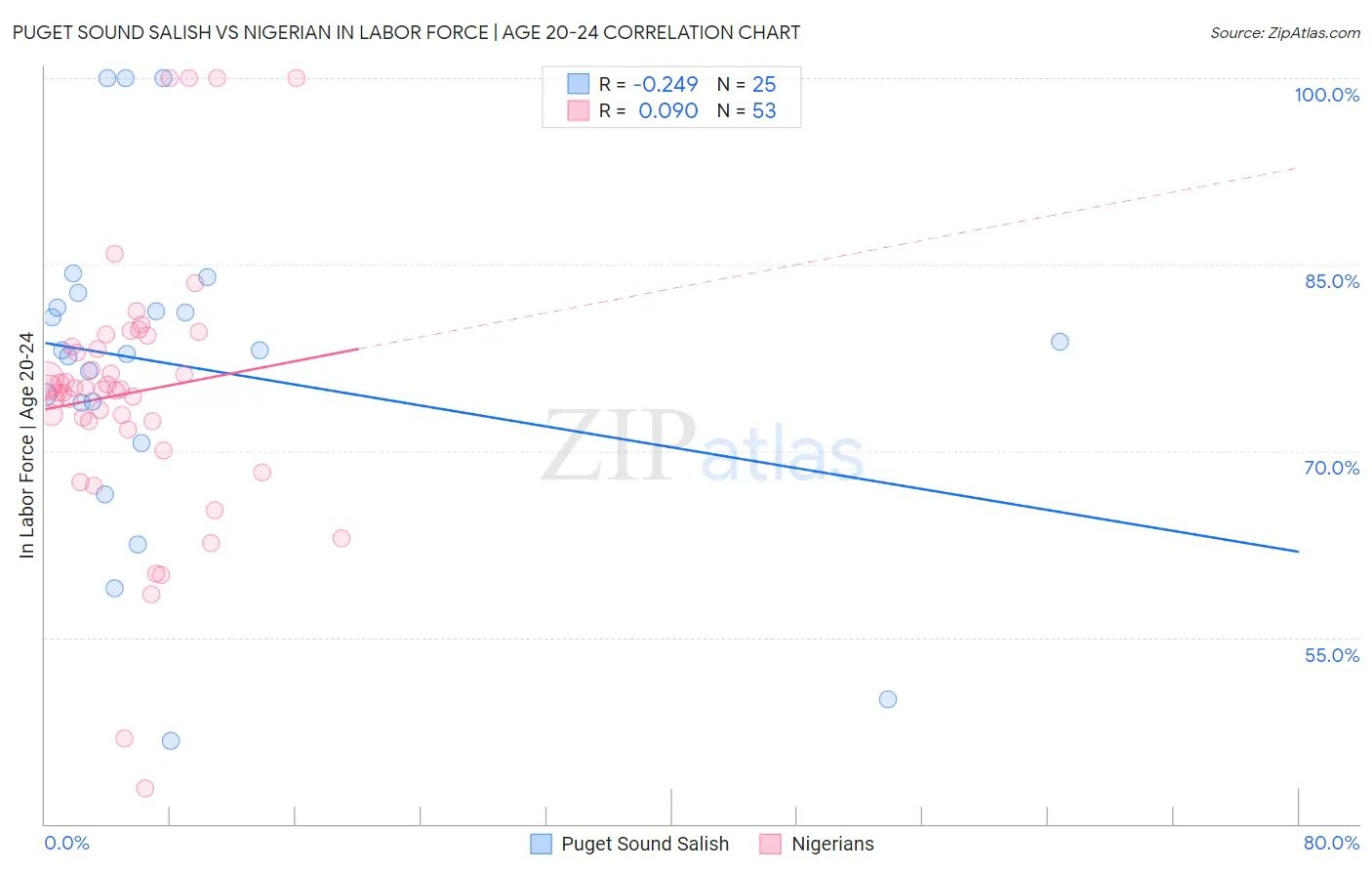Puget Sound Salish vs Nigerian In Labor Force | Age 20-24