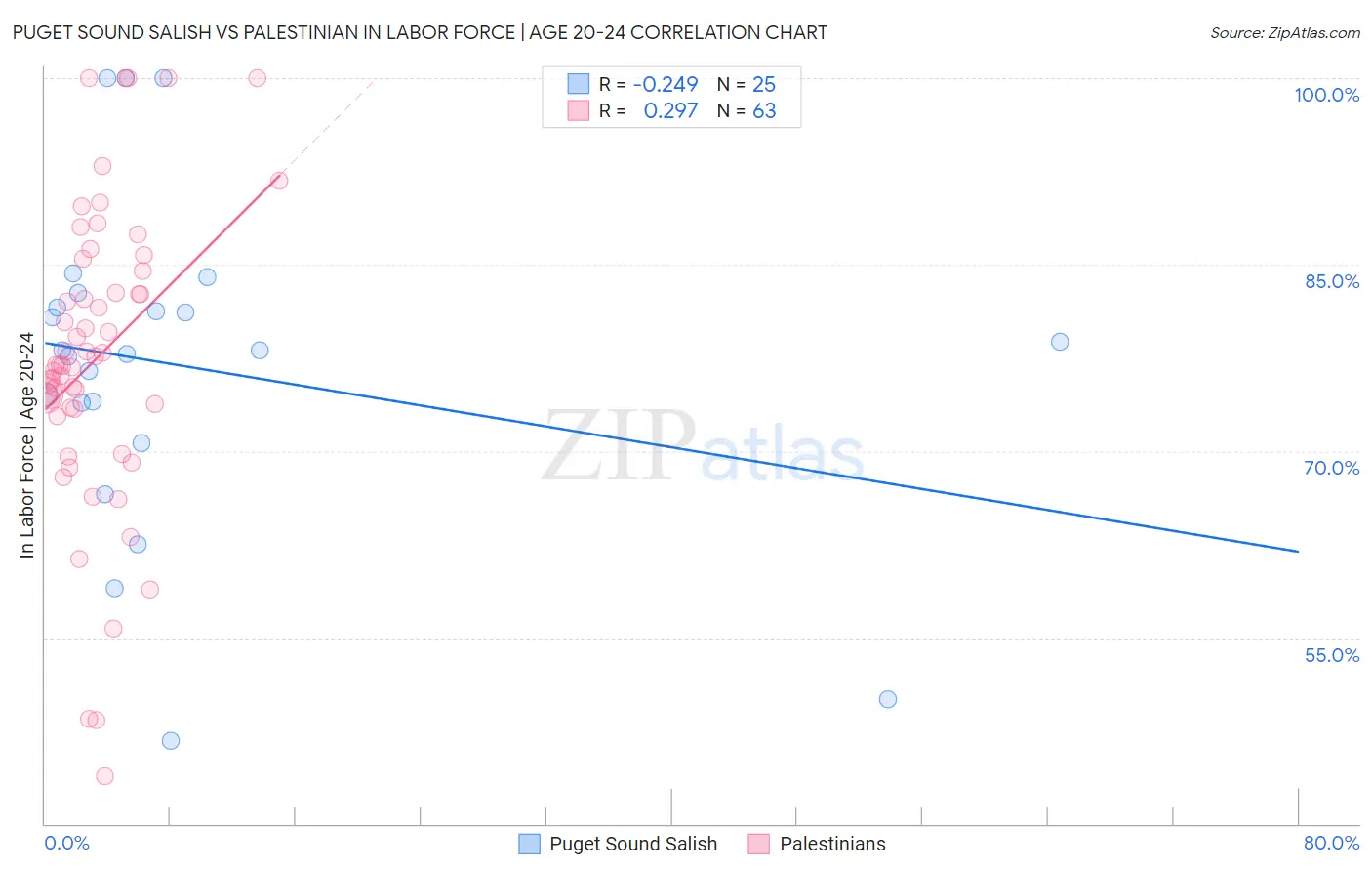 Puget Sound Salish vs Palestinian In Labor Force | Age 20-24