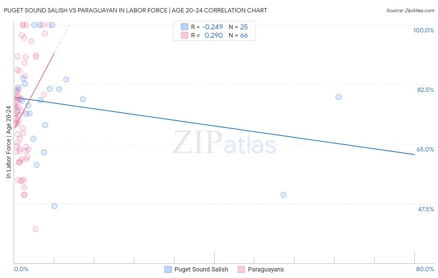 Puget Sound Salish vs Paraguayan In Labor Force | Age 20-24