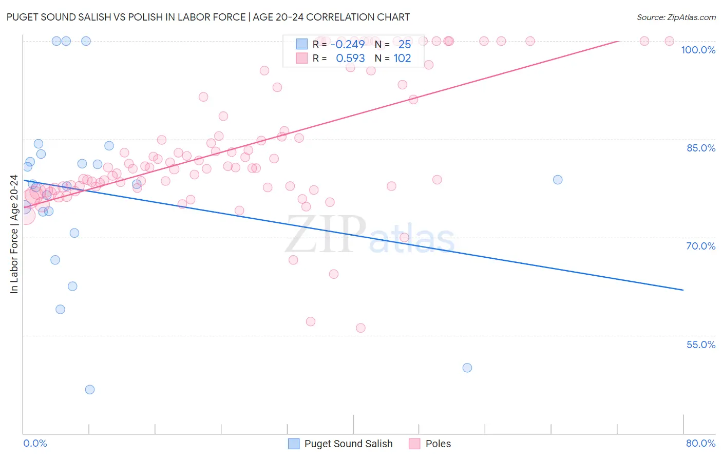 Puget Sound Salish vs Polish In Labor Force | Age 20-24