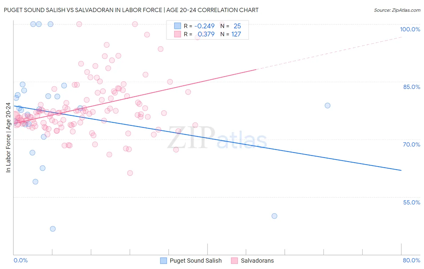 Puget Sound Salish vs Salvadoran In Labor Force | Age 20-24