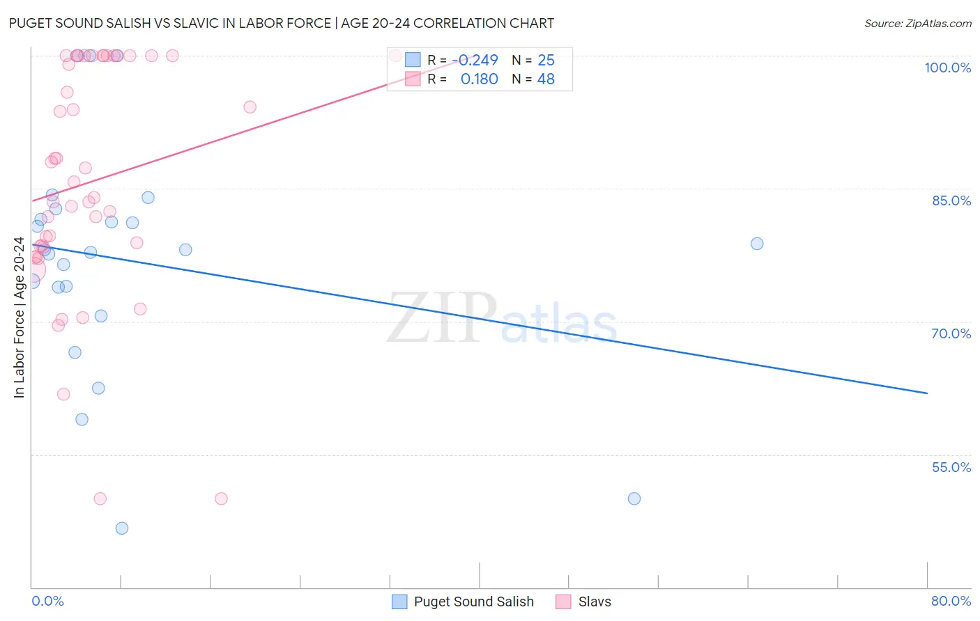 Puget Sound Salish vs Slavic In Labor Force | Age 20-24