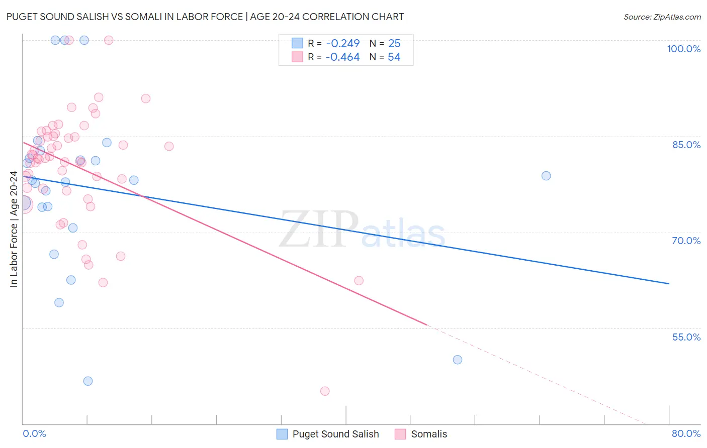 Puget Sound Salish vs Somali In Labor Force | Age 20-24